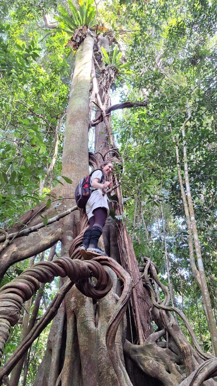 Batu Kapal Guest House & Jungle Trekking Bukit Lawang Exterior foto