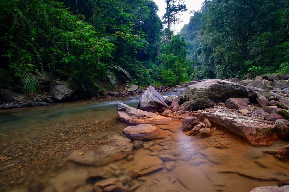 Batu Kapal Guest House & Jungle Trekking Bukit Lawang Exterior foto