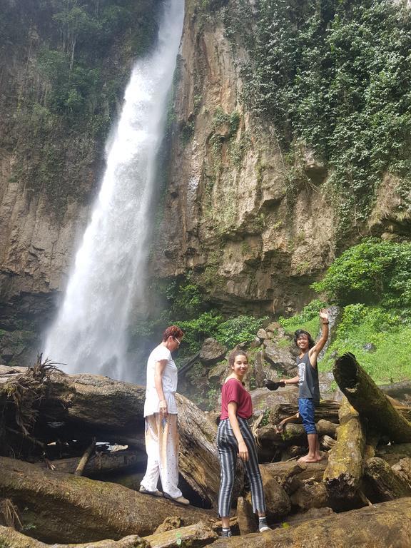 Batu Kapal Guest House & Jungle Trekking Bukit Lawang Exterior foto